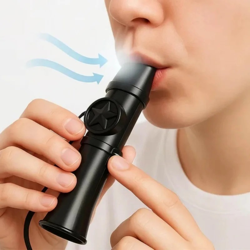 Musical Instrument Lute - Kazoo Flauto Strumento Nessuna Membrana Ottimo