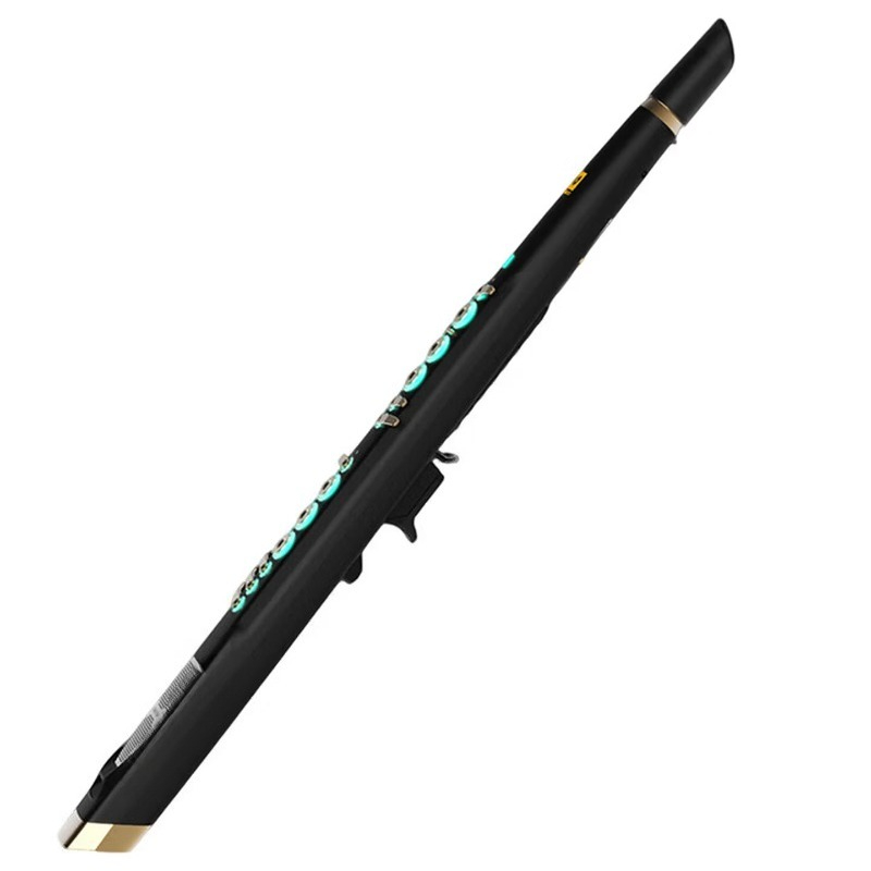 Musical Instrument Ending In A - Sassofono elettrico intelligente C20 con campionamento