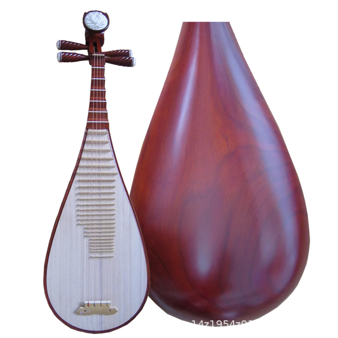Musical Instrument Ending In A - Pipa professionale in palissandro, strumento musicale