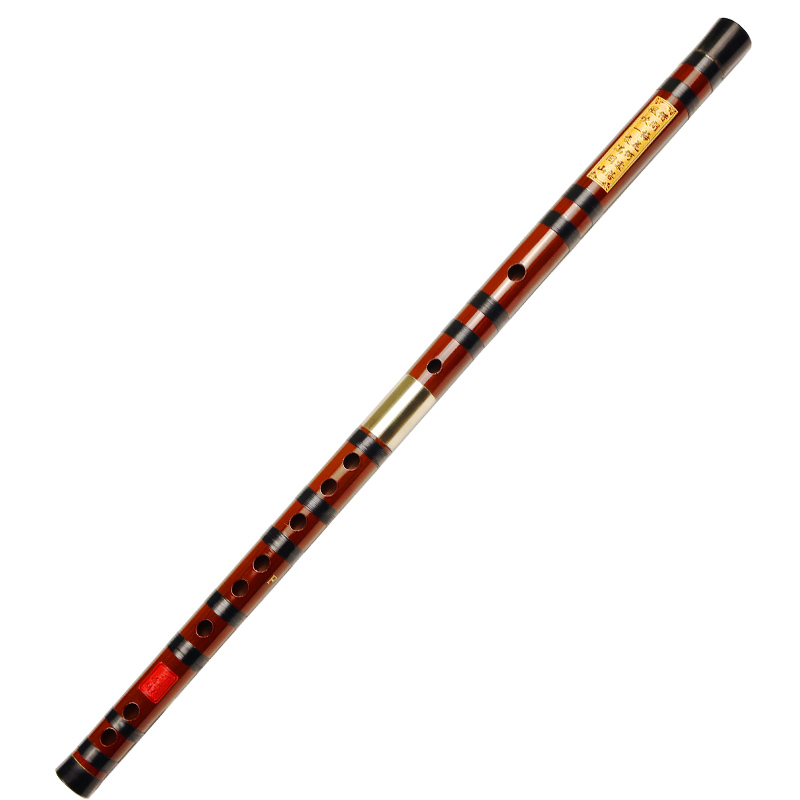 Flauto di bambù amaro professi - Musical Instrument Ending In A recensione e prezzo