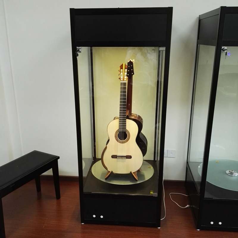 Vetrina espositiva per chitarr - Musical Instrument Glass recensione e prezzo