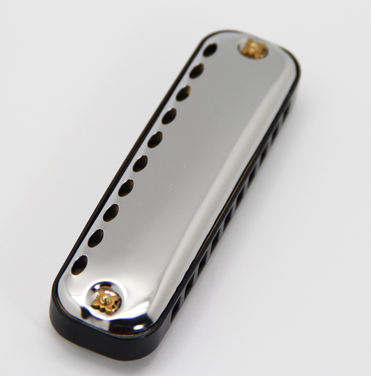 EASTTOP armonica Blues arpa ch - Musical Instrument Lute recensione e prezzo