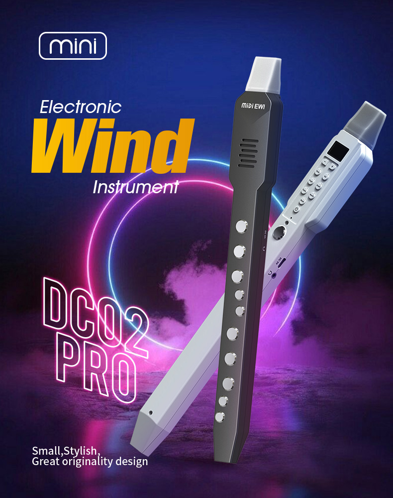 aggiornamento Mini strumento e - Musical Instrument Lute recensione e prezzo