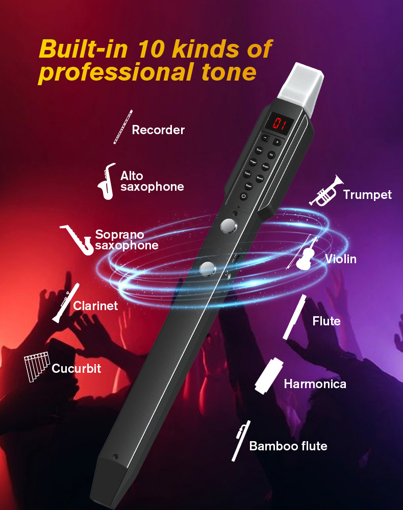 aggiornamento Mini strumento e - Musical Instrument Lute recensione e prezzo