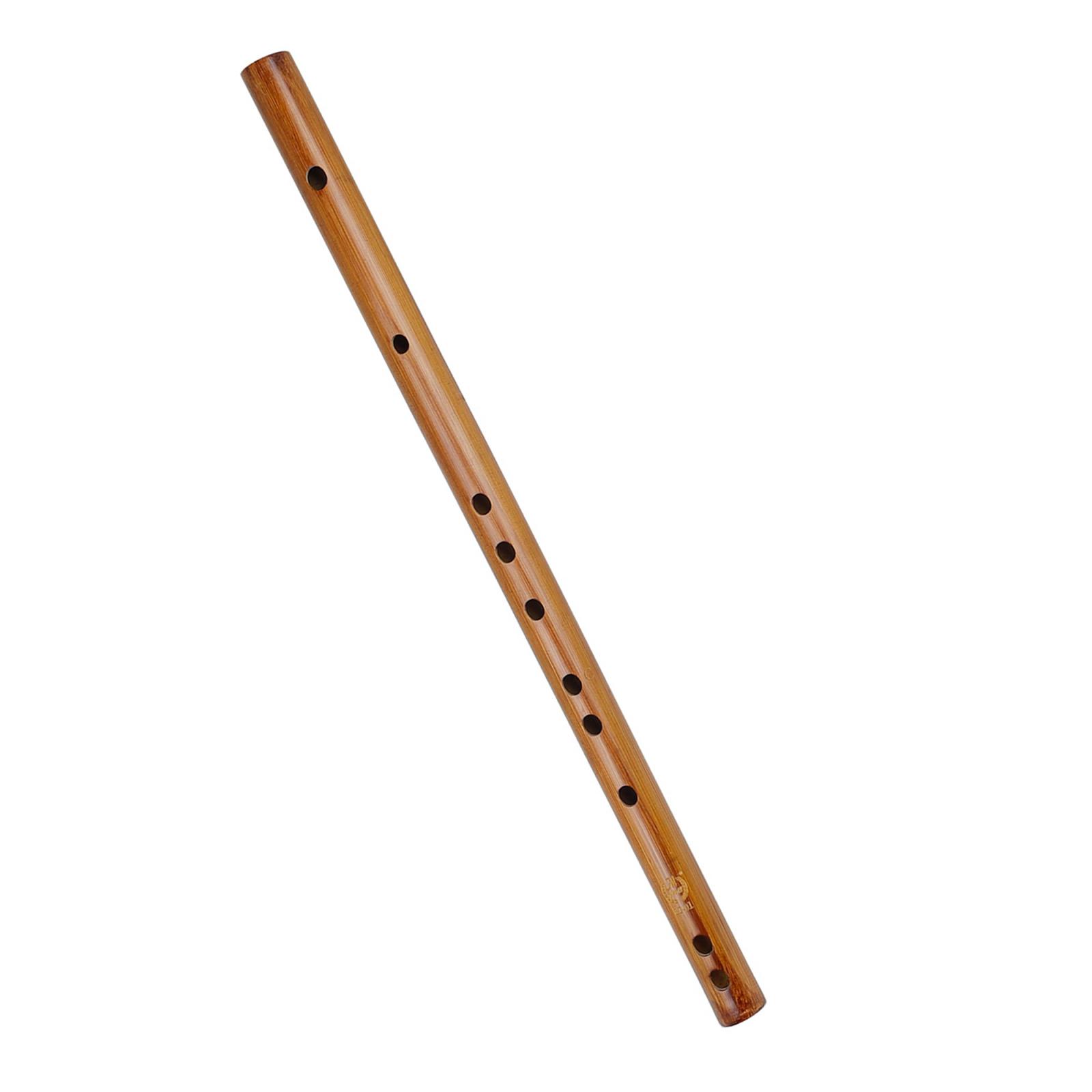 Regalo di compleanno unico, fl - Musical Instrument Of India recensione e prezzo
