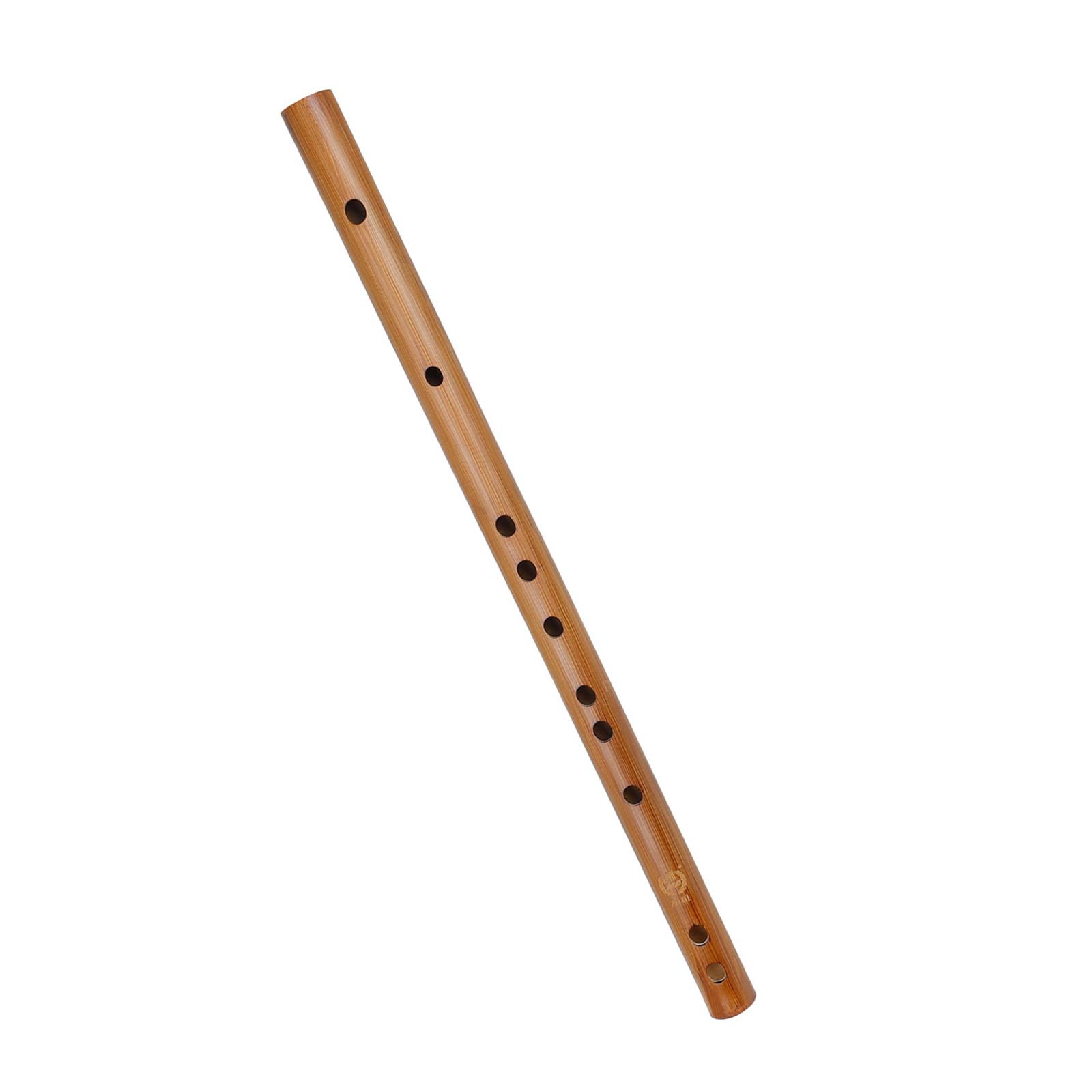 Regalo di compleanno unico, fl - Musical Instrument Of India recensione e prezzo