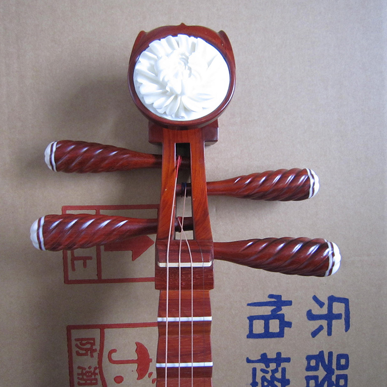 Pipa professionale in palissan - Musical Instrument Ending In A recensione e prezzo