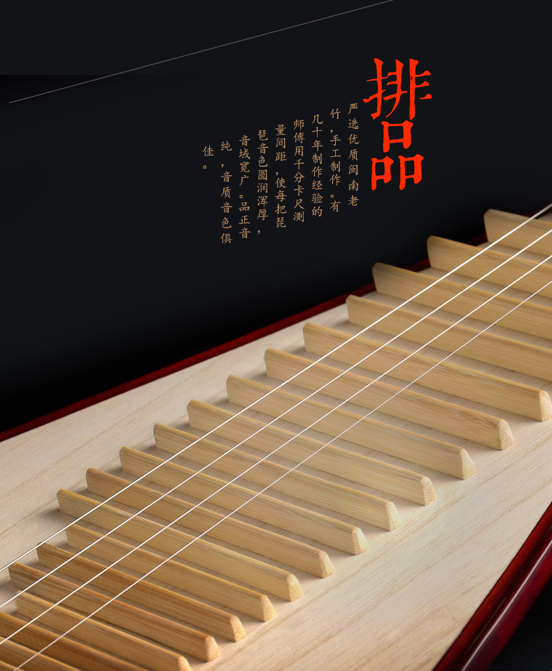 Lute Pipa Professionale di Alt - Musical Instrument Lute recensione e prezzo